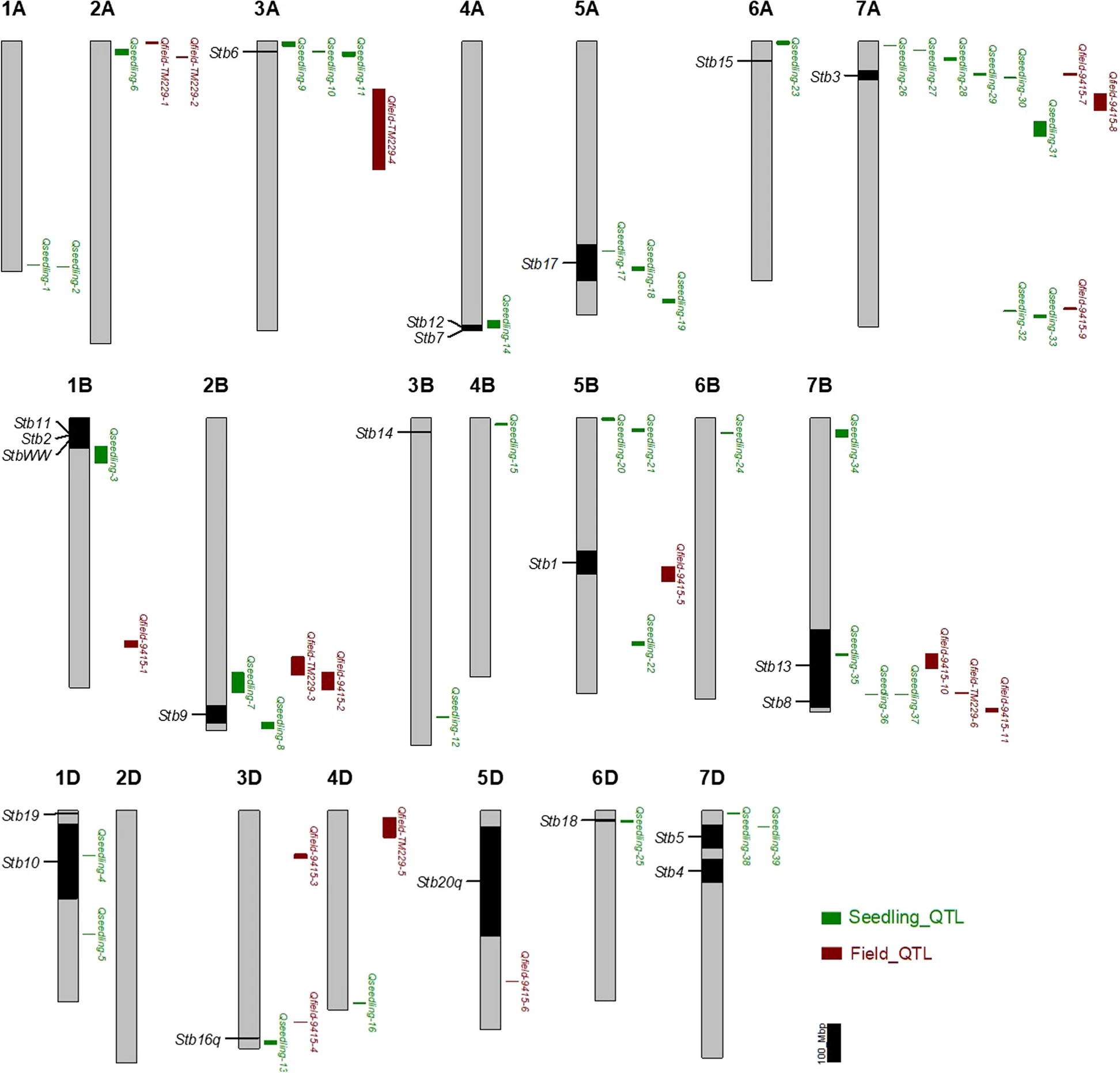 Physical position of the 57 QTL detected in this study and the major Stb genes reported in the literature on the 21 wheat chromosomes from the Chinese Spring RefSeq v2.1.