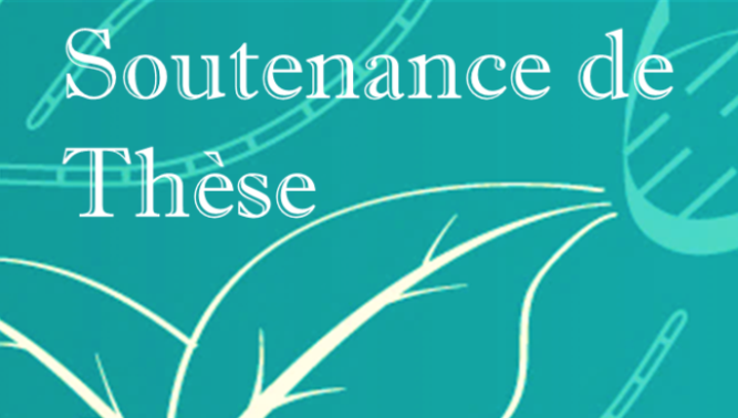 Image_soutenance_de_these4.png