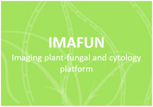 IMAFUN