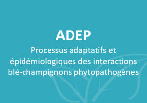 fr-ADEP.png