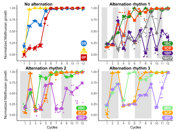 Evolution expérimentale - alternance de fongicides
